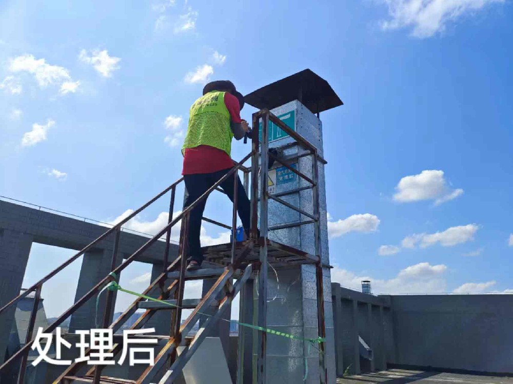 國生紙品包裝有限公司廢氣檢測